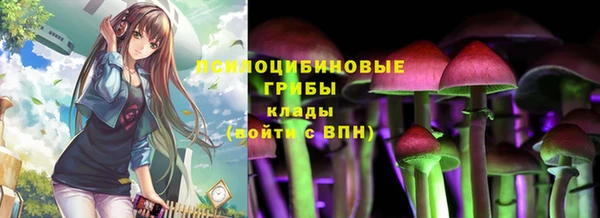 a pvp Костерёво