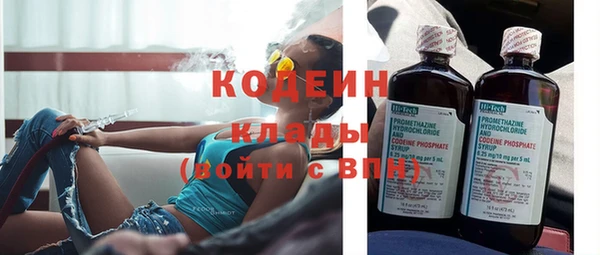 гашик Краснослободск