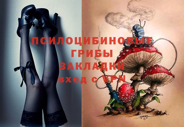 a pvp Костерёво