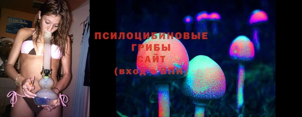 стафф Кулебаки