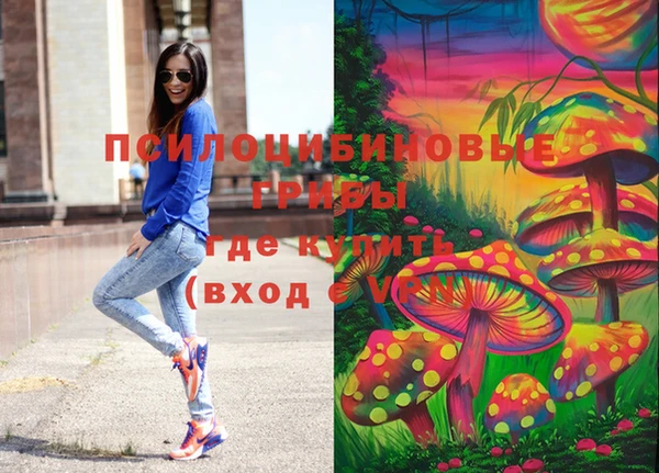 a pvp Костерёво