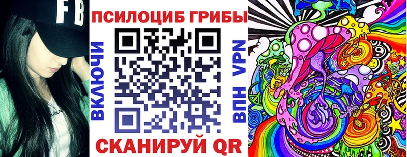 Псилоцибиновые грибы Psilocybine cubensis  Кулебаки 