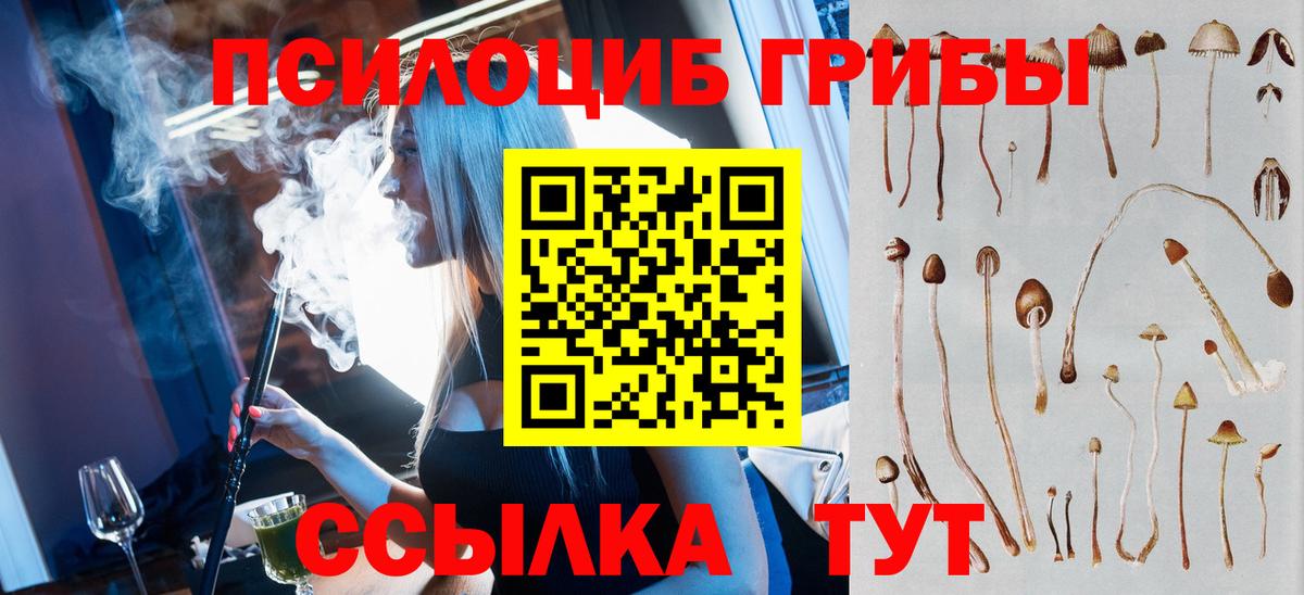 Псилоцибиновые грибы мицелий Кулебаки