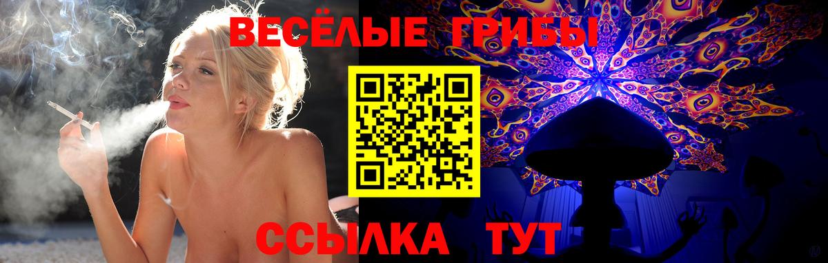 Галлюциногенные грибы MAGIC MUSHROOMS  Галлюциногенные грибы Psilocybe  Кулебаки  Вход с VPN 